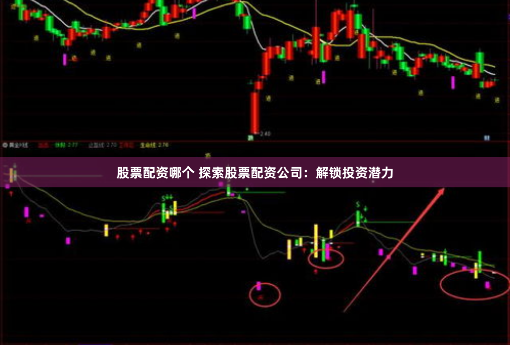 股票配资哪个 探索股票配资公司：解锁投资潜力