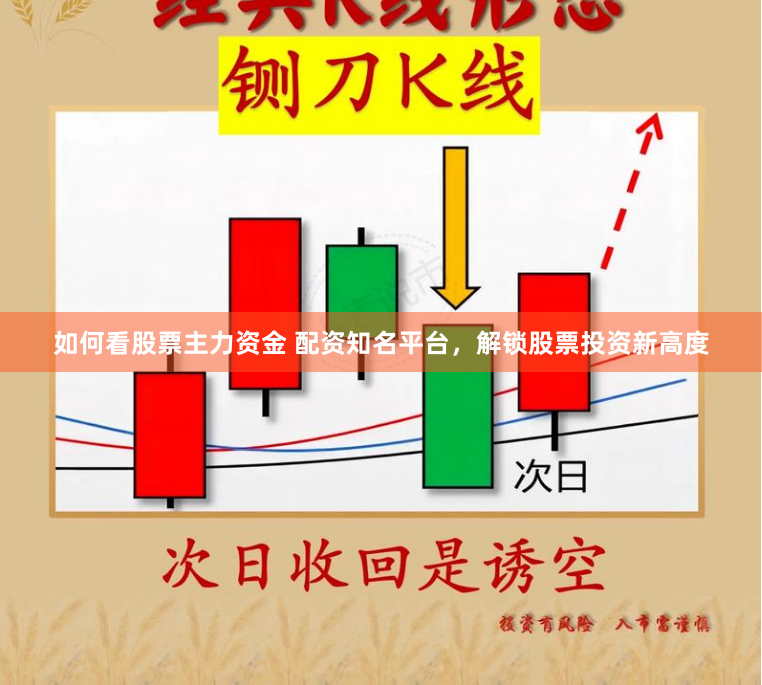 如何看股票主力资金 配资知名平台，解锁股票投资新高度